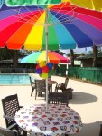 Goldie Pool Party Table Umbrella topiary ball straight on